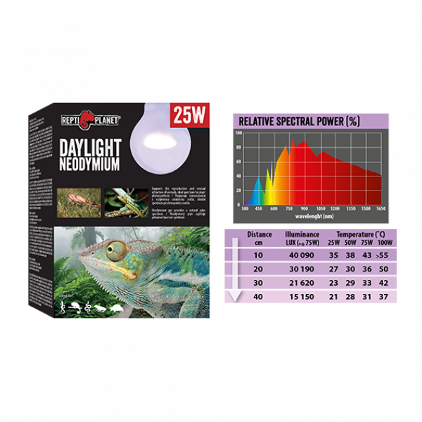 Preview: Daylight Neodymium